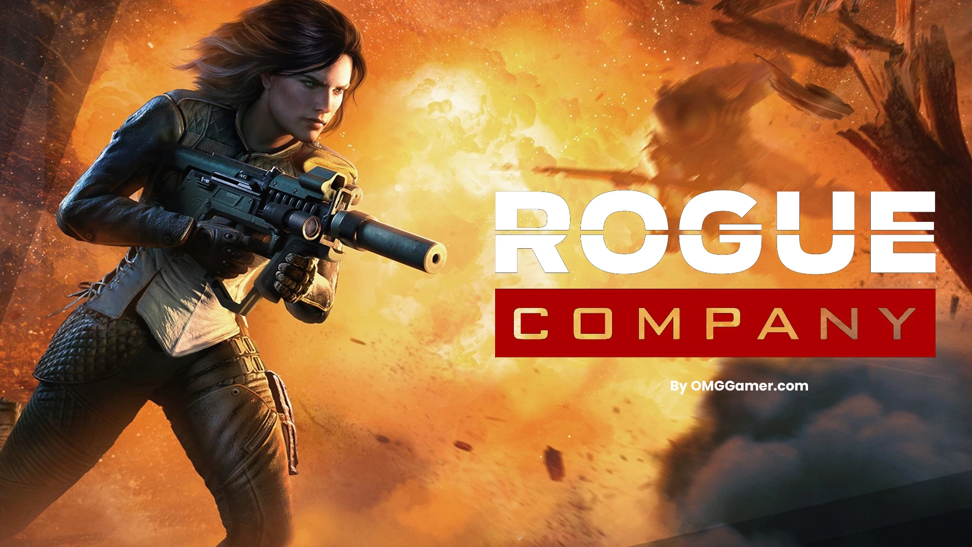 Rogue Company